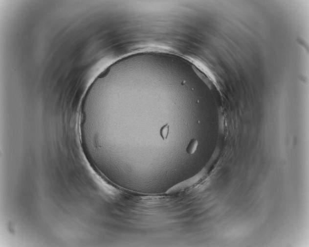 X0000093481391200710261030