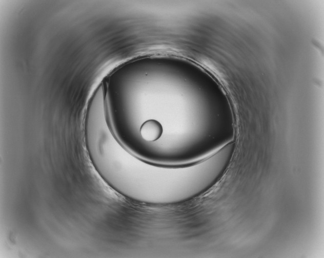 X0000093481392200710261030