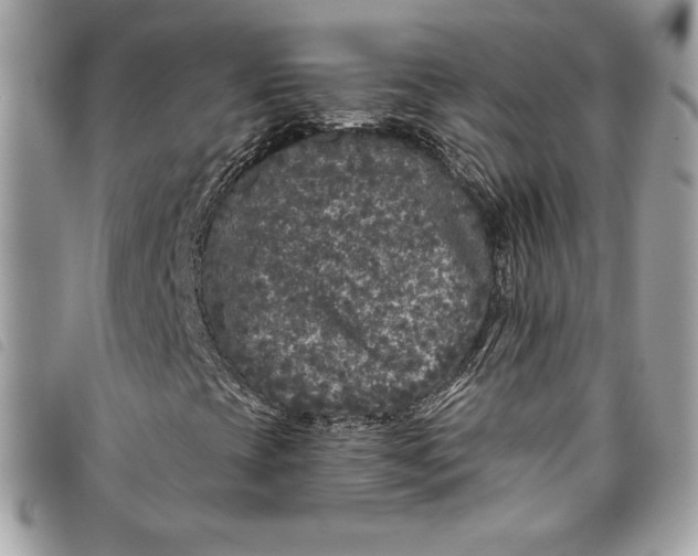 X0000093481393200710261029