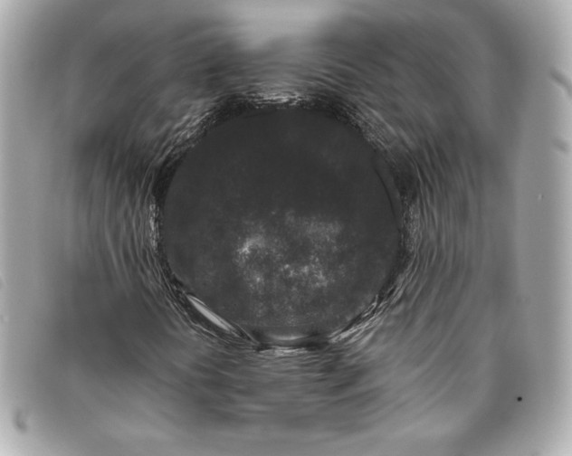 X0000093481394200710261029