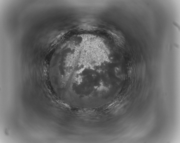 X0000093481397200710261029