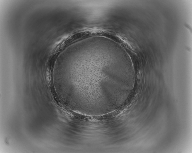 X0000093481398200710261029
