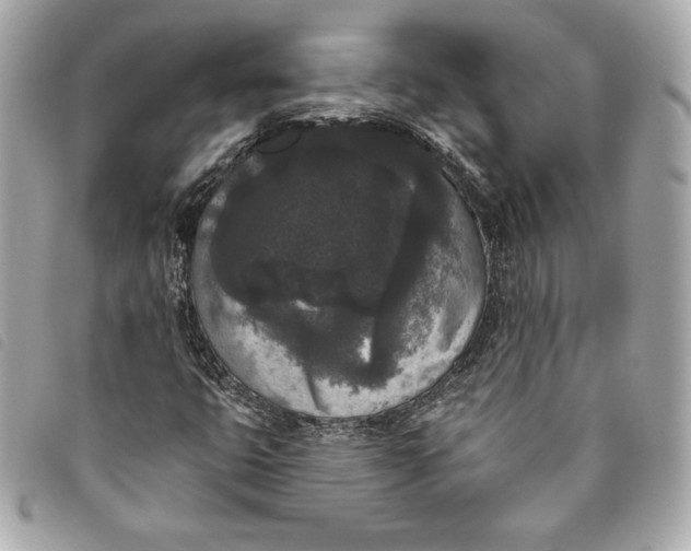 X0000093481399200710261029