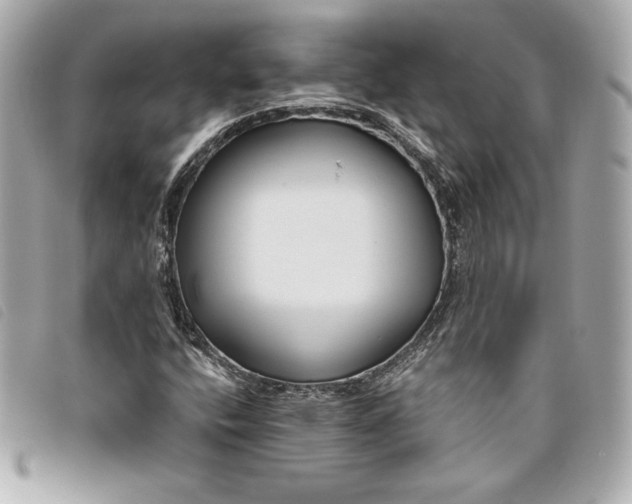 X0000093481400200710261029