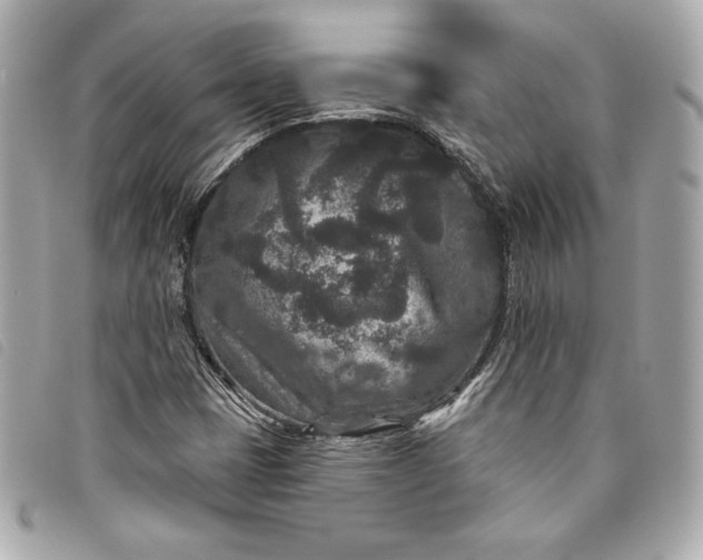 X0000093481401200710261029