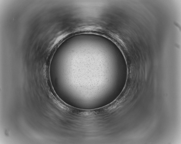 X0000093481404200710261029