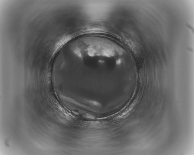 X0000093481405200710261029