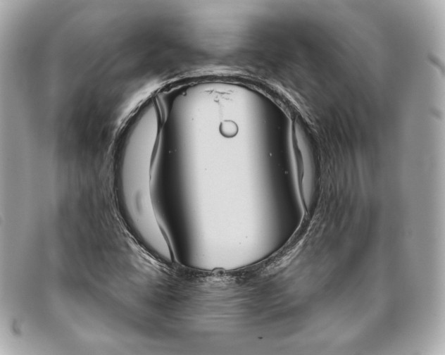 X0000093481406200710261029