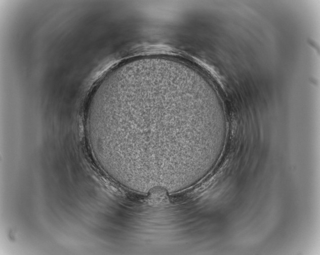 X0000093481407200710261029