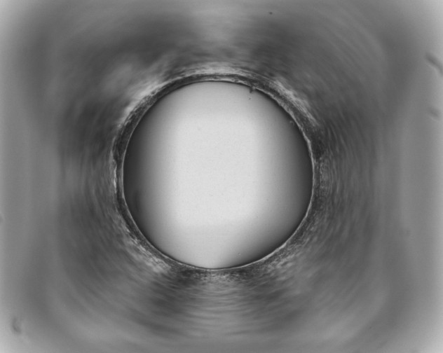 X0000093481408200710261029