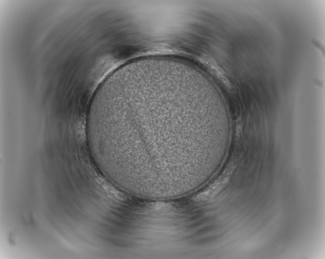 X0000093481409200710261030