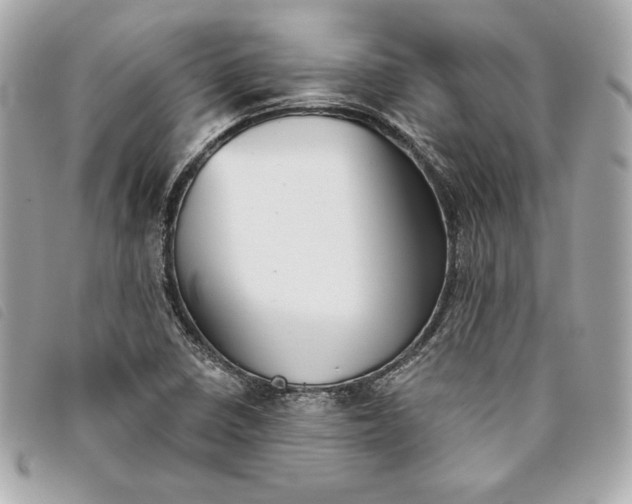 X0000093481410200710261030