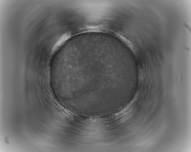 X0000093481411200710261030