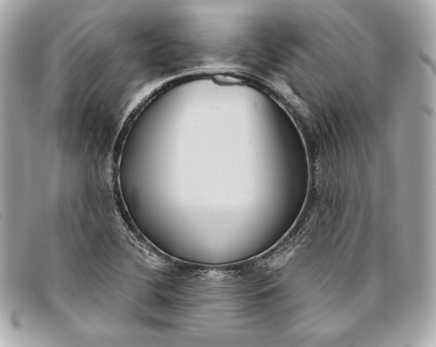 X0000093481412200710261030