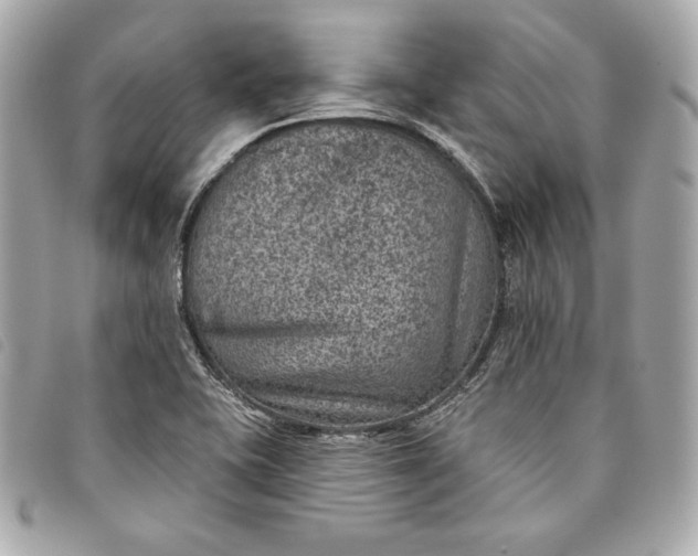 X0000093481415200710261030