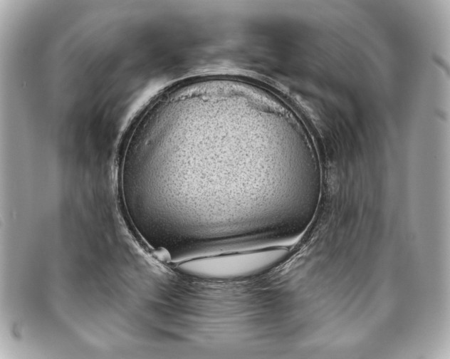 X0000093481416200710261030