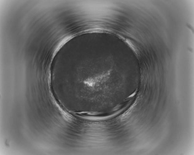 X0000093481418200710261030