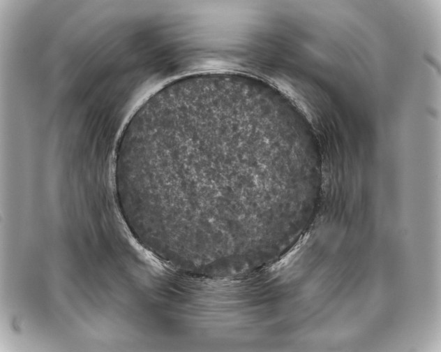 X0000093481421200710261030