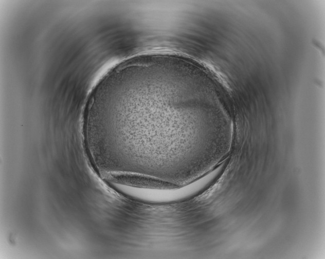X0000093481422200710261030