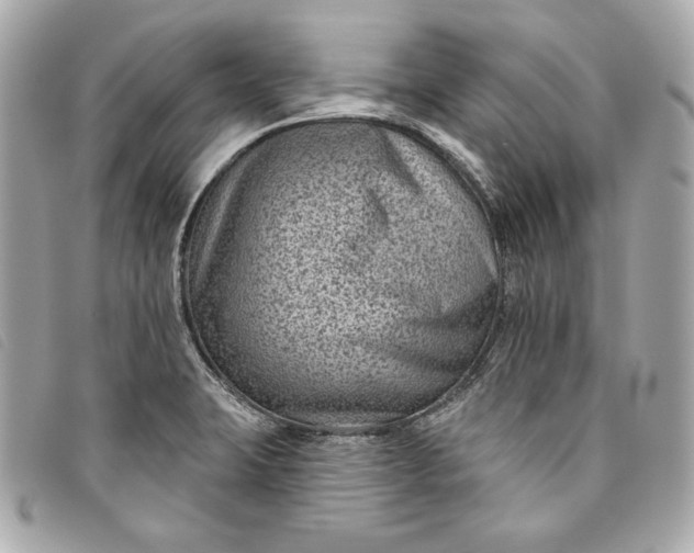 X0000093481423200710261030