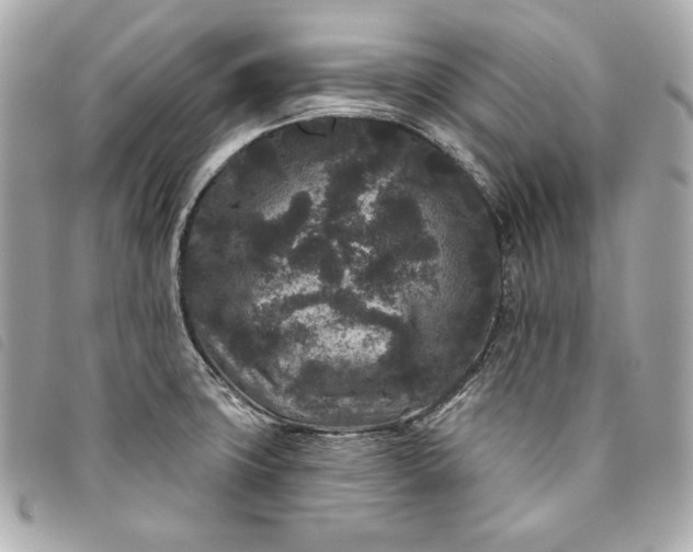 X0000093481427200710261030