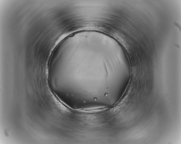 X0000093481428200710261030