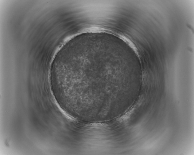 X0000093481429200710261030