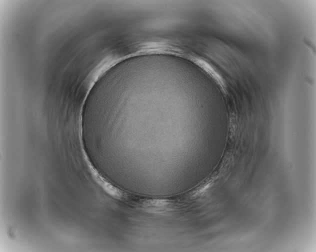 X0000093481431200710261030