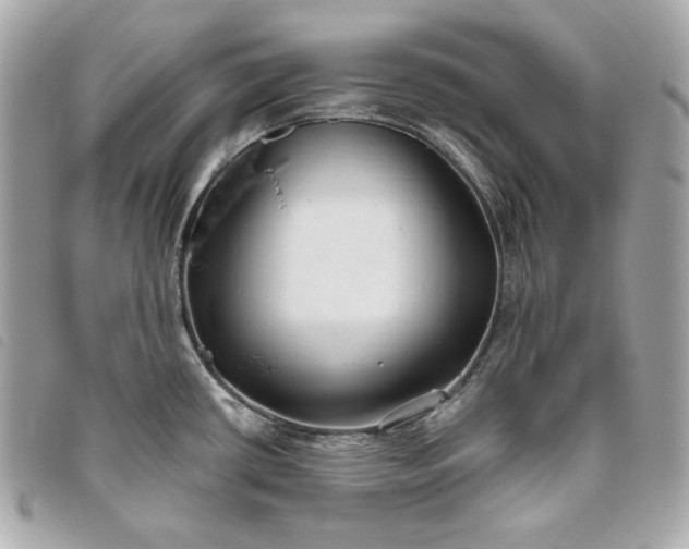 X0000093481434200710261030