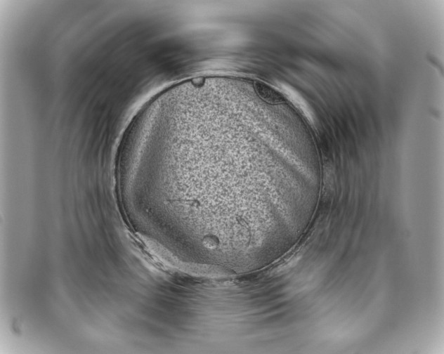 X0000093481435200710261030