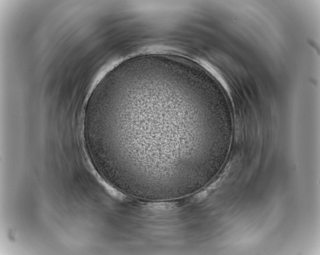 X0000093481437200710261030