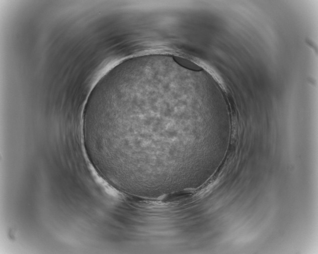 X0000093481439200710261030