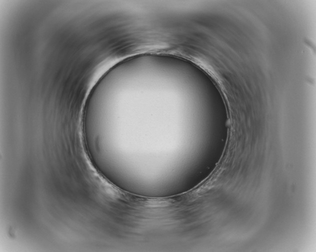 X0000093481440200710261030