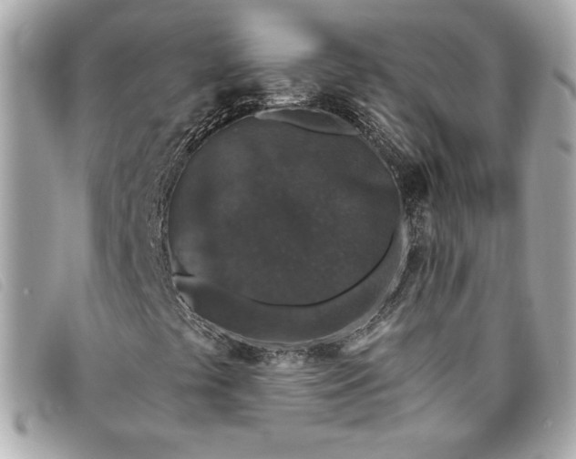 X0000093481441200710261029