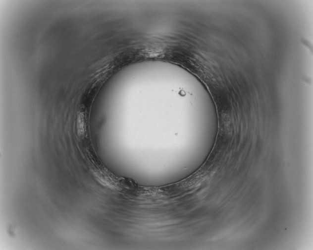 X0000093481442200710261029