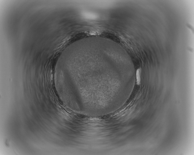 X0000093481443200710261029