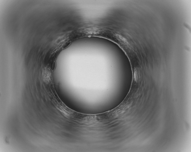 X0000093481444200710261029