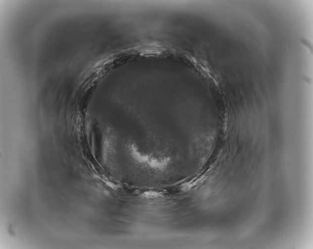 X0000093481445200710261029