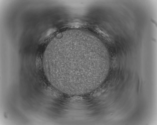 X0000093481446200710261029