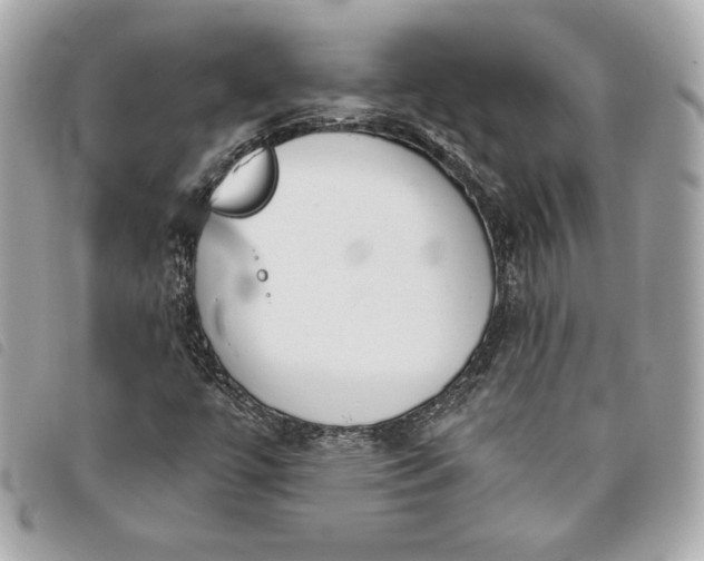 X0000093481447200710261029