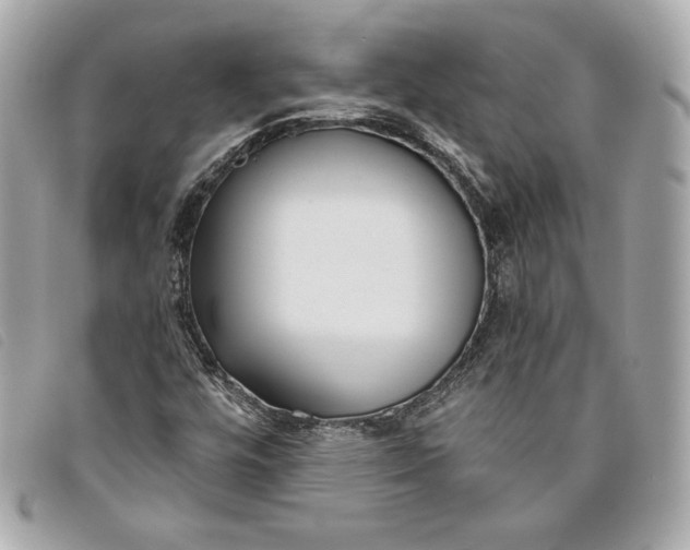 X0000093481448200710261029