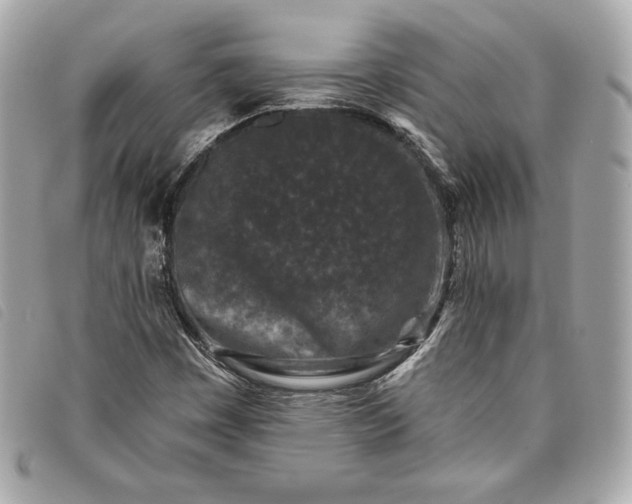 X0000093481449200710261029