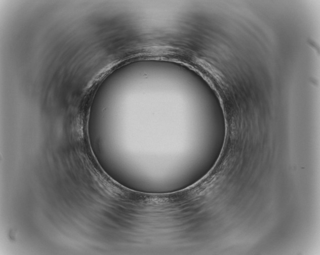 X0000093481451200710261029