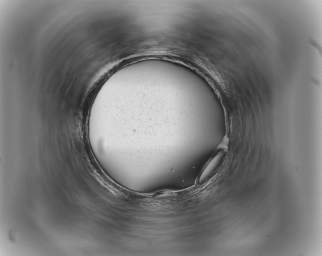 X0000093481452200710261029