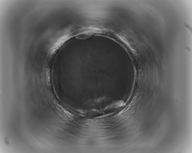 X0000093481455200710261029