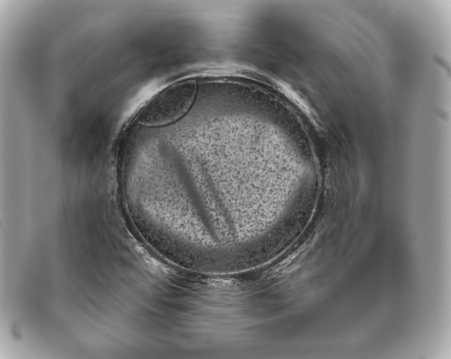 X0000093481456200710261029