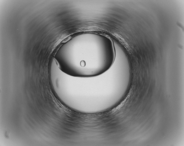 X0000093481457200710261029