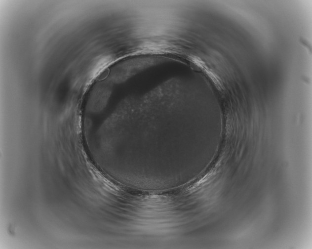 X0000093481459200710261029