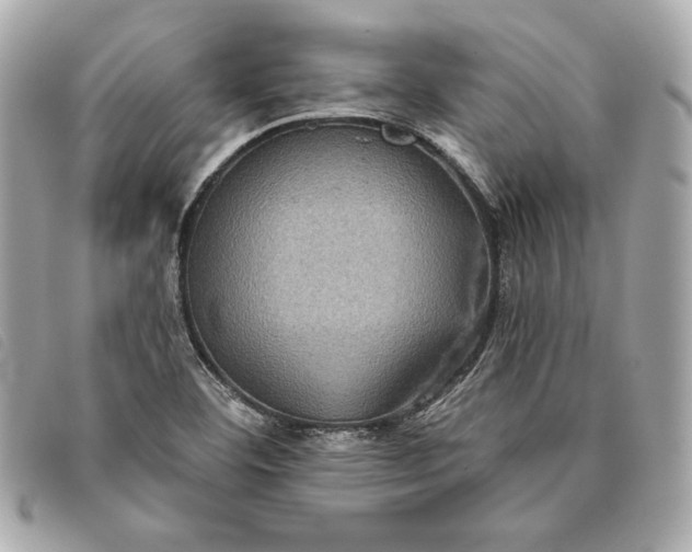 X0000093481460200710261029