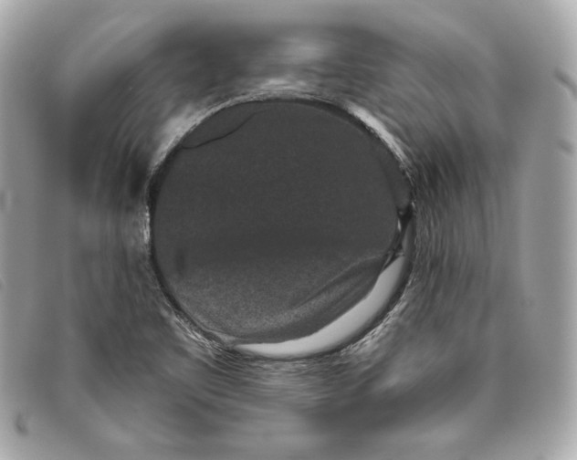X0000093481461200710261029
